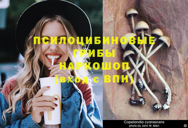 MDMA Premium VHQ Козельск